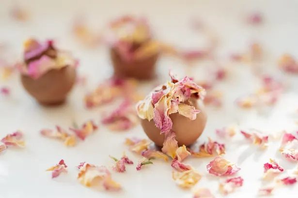 Fever Sloturi Cazino Cazinou Aplicație Android/iOS